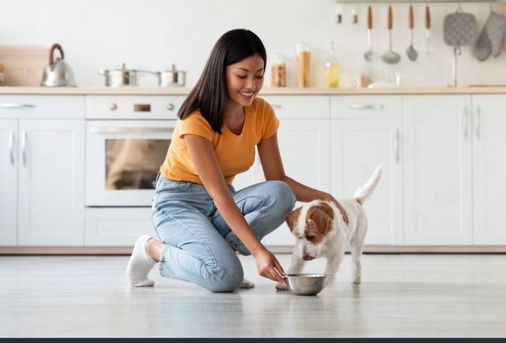 Catering to Doggies: Exploring the World of Canine Food Types